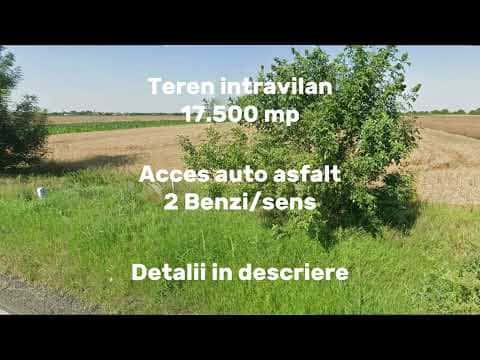 Teren Intravilan, 17500 mp, Timis, DN59 (E79), Acces din asfalt, 58 ml