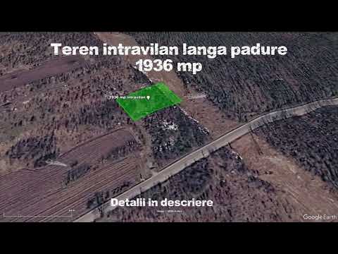 Teren intravilan 1.936 mp, lângă pădure – Săbăreni, Giurgiu, langa DN7